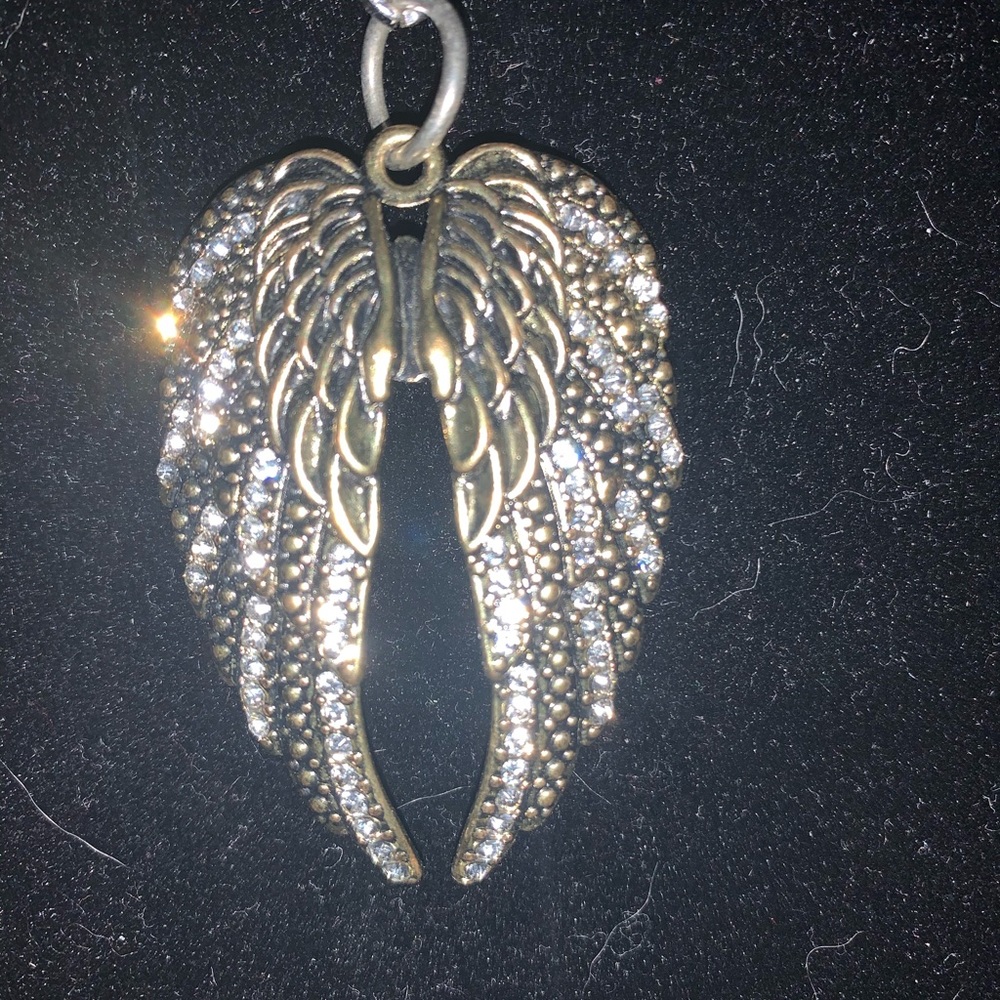 Beautiful wings - Picture 4 of 7